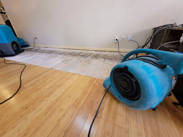Professional Water Extraction technician working in Prescott, WI